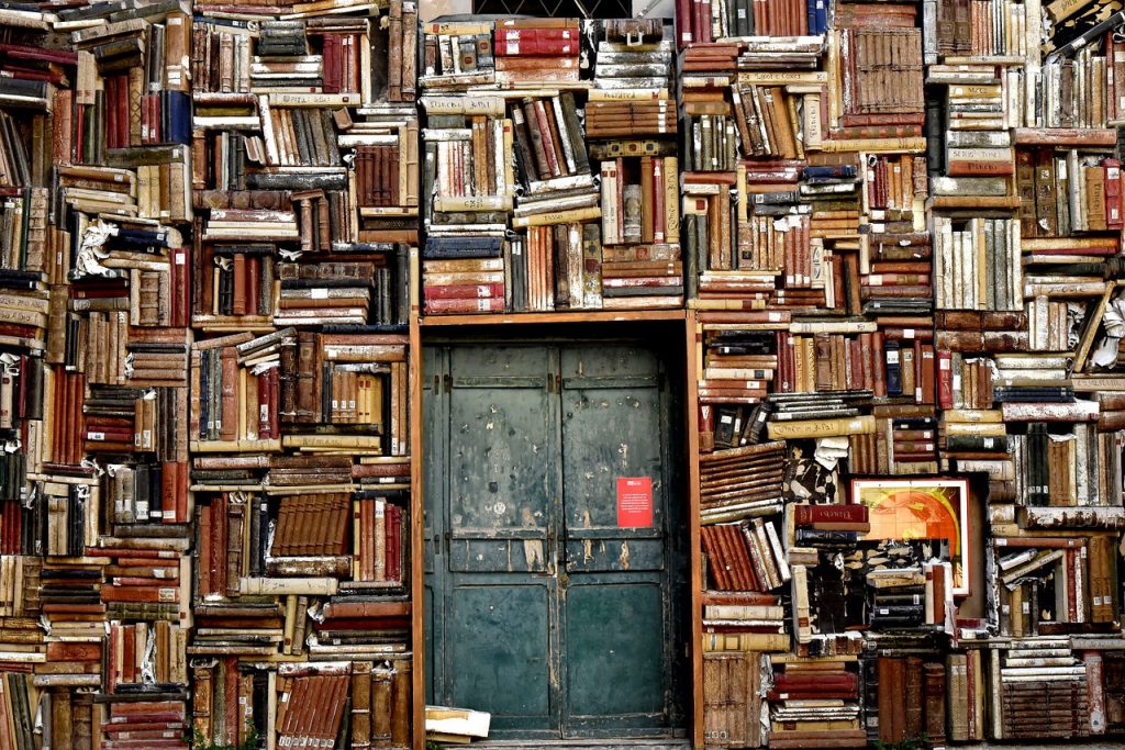 porta antica circondata da un muro di libri come una grande libreria